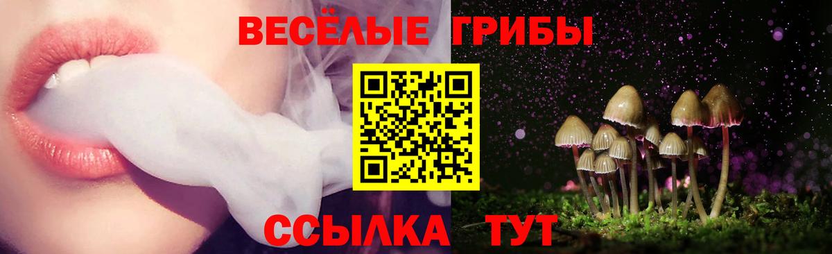 Галлюциногенные грибы Psilocybe  Галлюциногенные грибы прущие грибы  Вход с VPN  купить закладку  Мытищи 